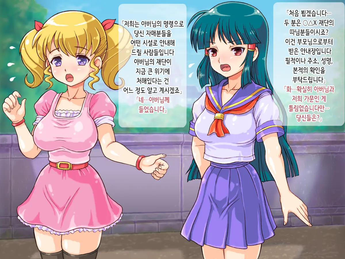 Wakeari Ojousama Shimai No Aigan Choukyou Jisshuu | 사정 있는 아가씨 자매의 애완 조교 실습
